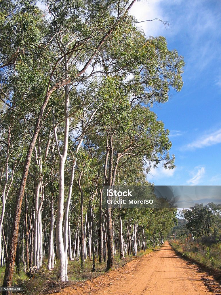 Deserto australiano Road na Austrália Ninguém - Royalty-free Warrumbungles Foto de stock