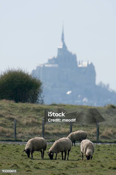 Mouton Foto de stock y más banco de imágenes de Aire libre - Aire libre, Bahía, Bebida