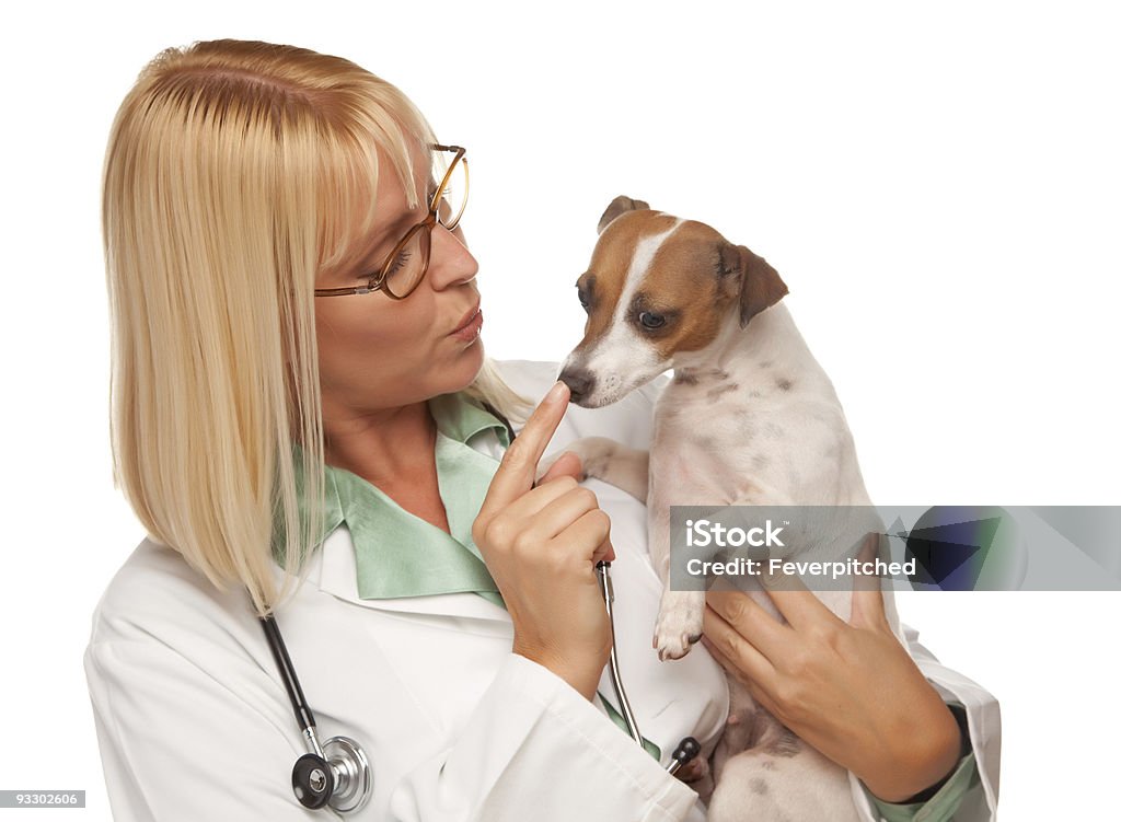 Attrayant femme médecin vétérinaire avec chiot en petit comité - Photo de Adulte libre de droits