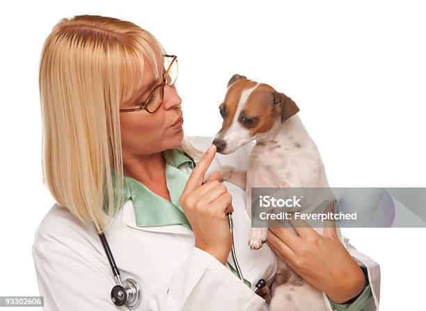 Photo libre de droit de Attrayant Femme Médecin Vétérinaire Avec Chiot En Petit Comité banque d'images et plus d'images libres de droit de Adulte