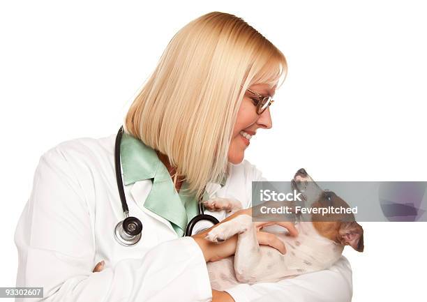 Foto de Atraente Feminino Médico Veterinário Com Pequenas Cachorrinho e mais fotos de stock de Adulto