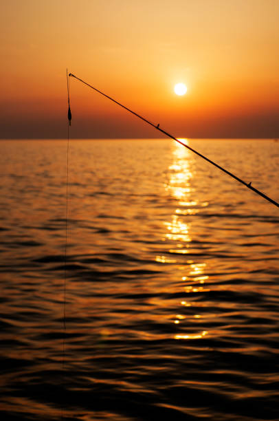 istock Fishing pole with sun setting over sea in the background 933101058