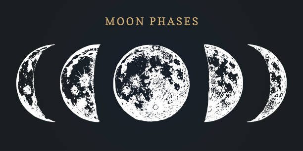 Moon phases image on black background. Hand drawn vector illustration of cycle from new to full moon Moon phases image on black background. Hand drawn vector illustration of cycle from new to full moon. half full illustrations stock illustrations