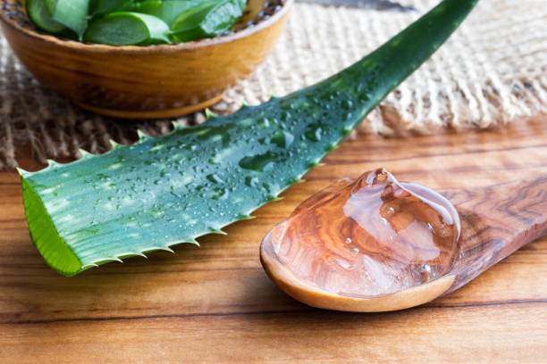 istock Aloe vera gel on a spoon with a whoe aloe vera leaf 933120228