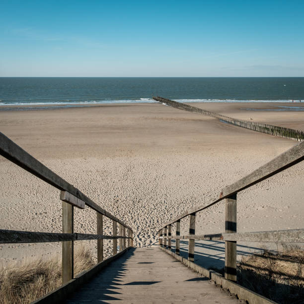 istock Beach of Domburg as seen from the sand dunes 933123238
