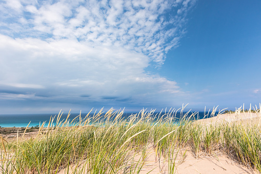 Dune grass sways in the breeze under a blue sky with dramatic white clouds streaking overhead at Sleeping Bear Dunes National Lakeshore in Glen Haven Michigan