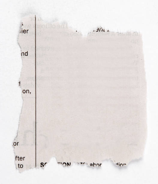 istock Torn piece of paper 933129588