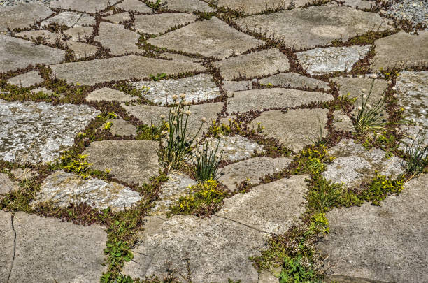 istock Stones on a green roof 933129782