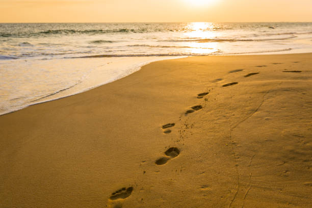 istock Landscape of sunset on the beach 933133884