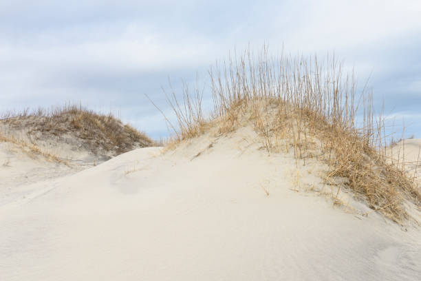 istock Sand Dunes in Soft Lighting in Winter 933136608