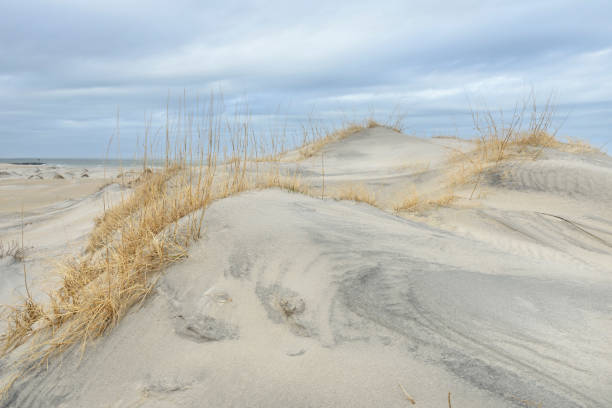Sand Dunes with View of Ocean on Cloudy Day