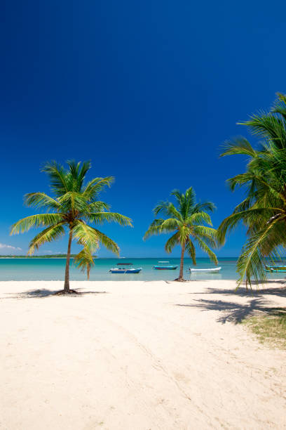 istock beach and tropical sea 933137688