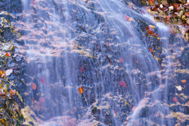 Flowing water stream waterfall in the Alpine mountains in the fall