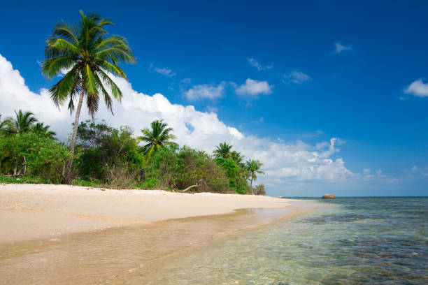 istock beach and tropical sea 933156508