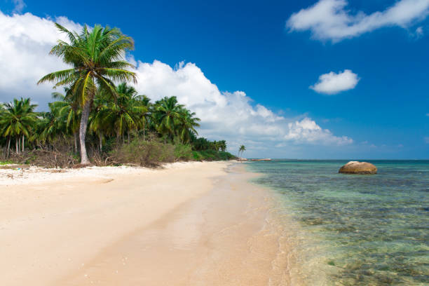 istock beach and tropical sea 933156524
