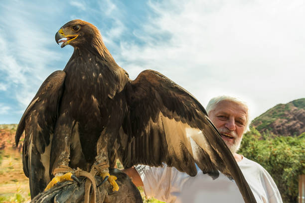 istock Senior men holding large eagle on his hand 933159998