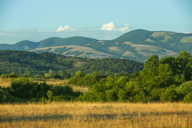istock View of rural landscape 933163008