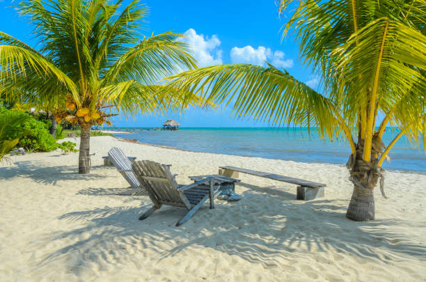 Paradise beach in Placencia, tropical coast of Belize, Caribbean Sea, Central America. Paradise beach in Placencia, tropical coast of Belize, Caribbean Sea, Central America. cay stock pictures, royalty-free photos & images