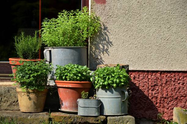 istock Country house 933226602