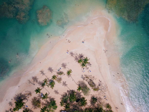 Aerial view of tropical beach in Caribbean stock photo