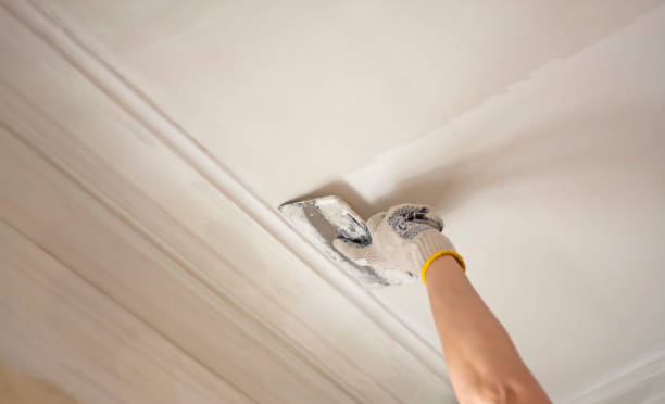 istock Hand of a woman plasterer repairs the ceiling with plaster 933271702