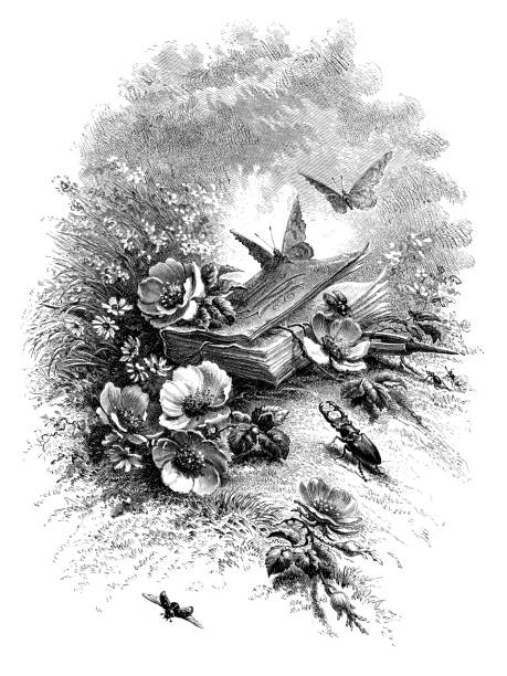 庭で本を持つ昆虫 - victorian style engraved image lepidoptera wildlife点のイラスト素材／クリップアート素材／マンガ素材／アイコン素材