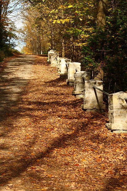 nature pathway stock photo