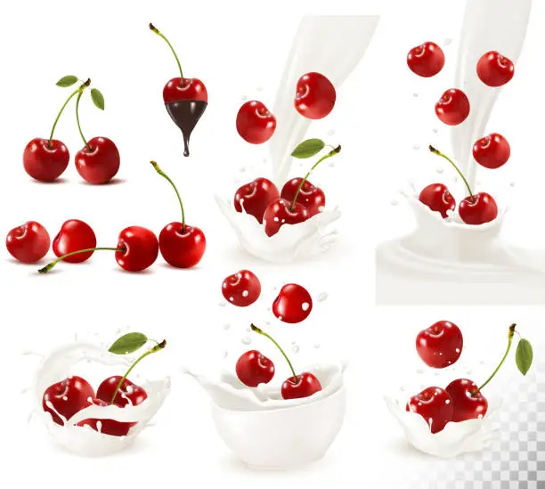 Vector illustration of Set of ripe sweet cherries and splash of milk. Vector.