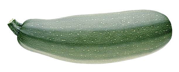 medula de vegetais - zucchini squash marrow squash vegetable imagens e fotografias de stock