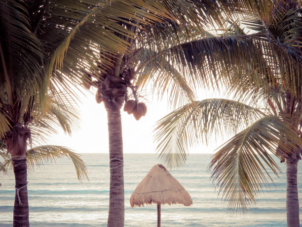 istock Sunrise over Caribbean beach, Mayan Riviera, Mexico 933323316