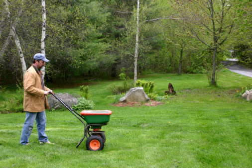 Handsome Hispanic muscular man, competent gardener in checkered blue shirt and work gardening uniform, mows lawn using electric lawn mower in the backyard. House and garden maintenance concept