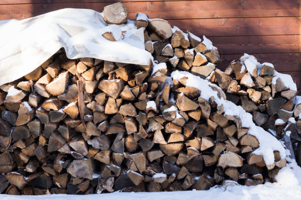 istock Stacked wood for fire 933326060