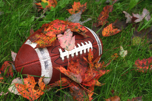 football covered with leaves
