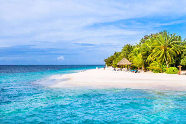 istock Maldives, a true paradise in the Indian Ocean. 933339348