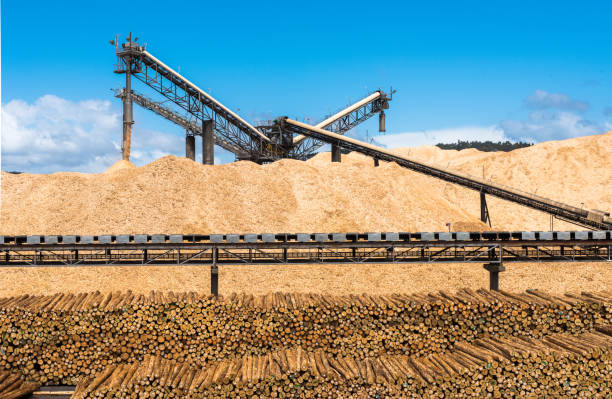 istock Working Wood Chipper in Port 933341630