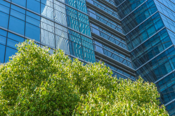 istock Details of a modern office building with a tree 933344728