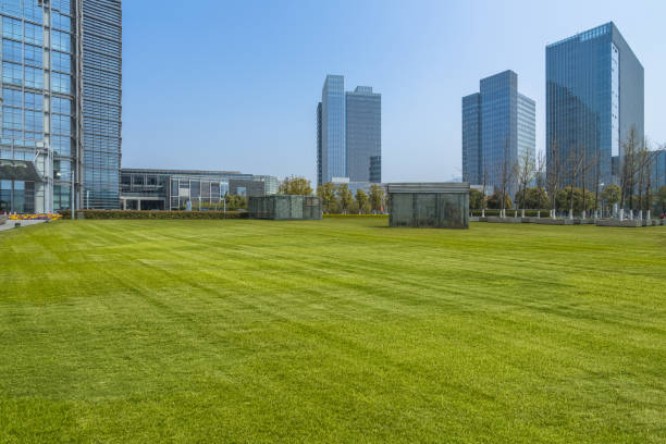 istock Modern office block with green lawn against sky 933359152