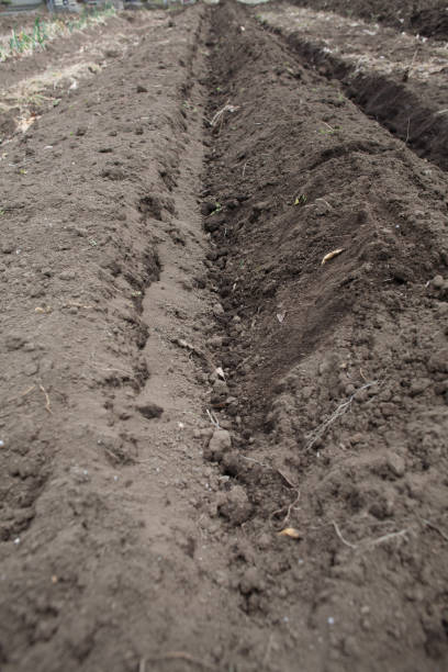 istock Ridge and furrow farming 933373086