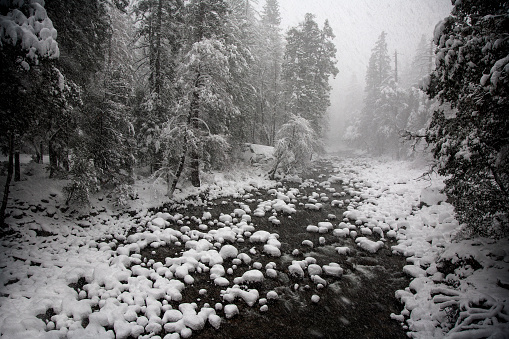Fresh snow has fallen at Yosemite Valley National Park, California