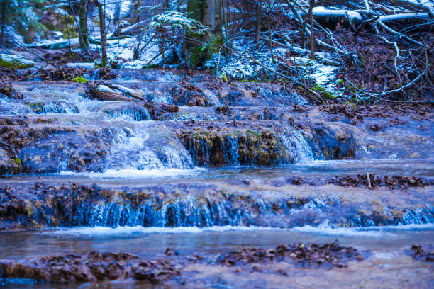 Wild river in carpathian mountains
