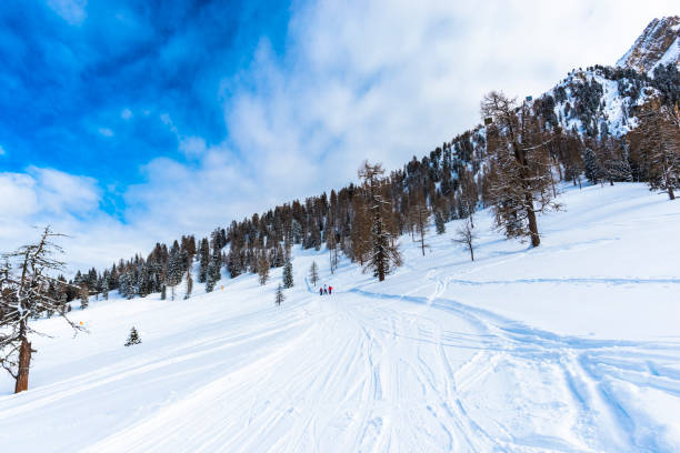 istock Ski resort at carezza, Dolomites Mountains 933386780