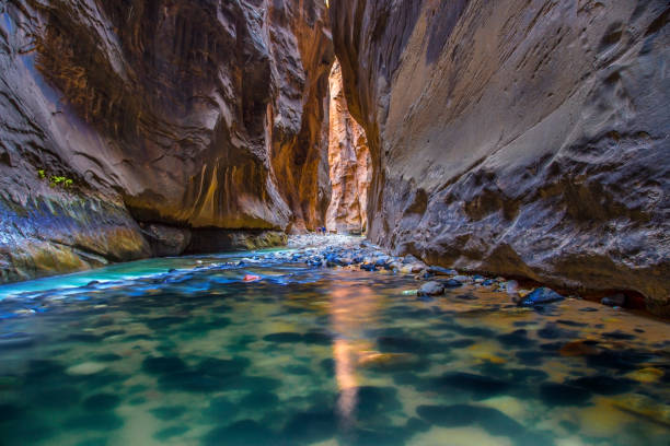 Zion Narrows The Virgin River carves its way through The Narrows at Zion National Park, Utah zion river stock pictures, royalty-free photos & images
