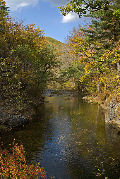 istock Woodsy river at autumn 93339366