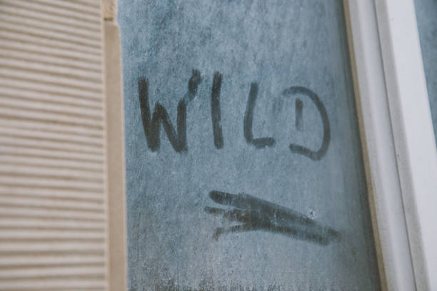 istock Dirty window glass with wild text 933396508
