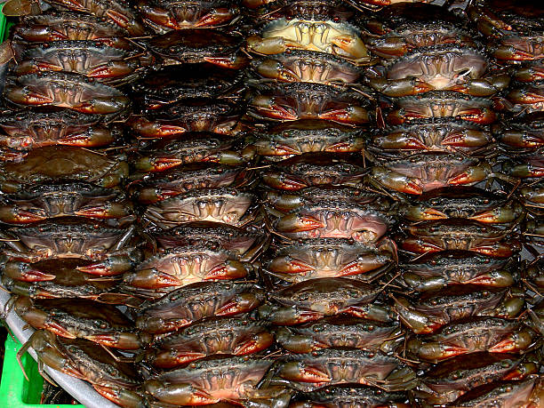 Apilado de Crabs - foto de stock