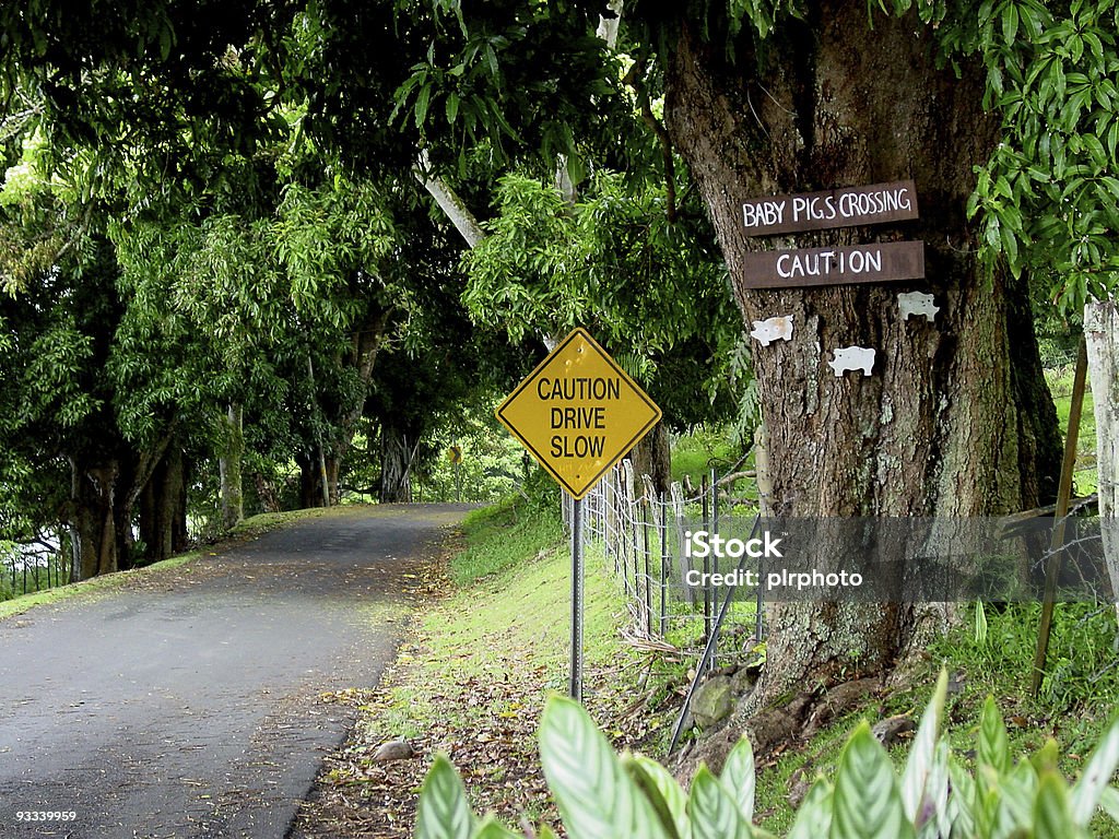 Sur la route vers Hana - Photo de Maui libre de droits