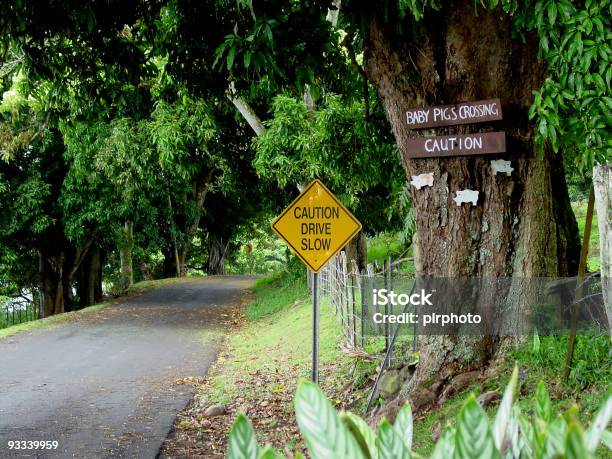 No Caminho Para Hana - Fotografias de stock e mais imagens de Maui - Maui, Ao Ar Livre, Estrada