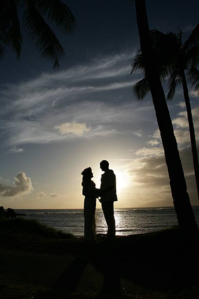 Maui boda romántica - foto de stock