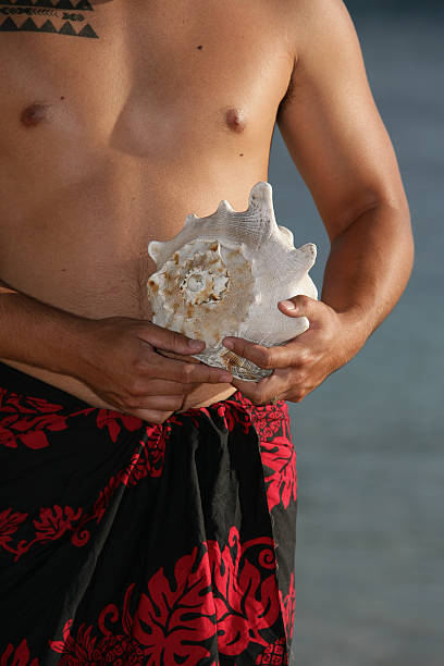 Hawaiian com imagens de conchas do mar - foto de acervo