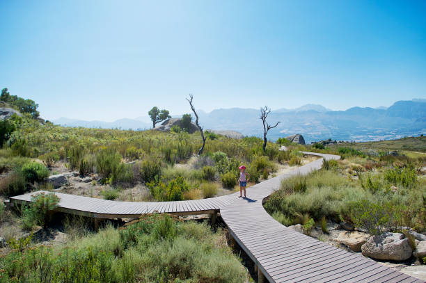 A young 4-5-year-old girl standing at a forked walkway crossroad on top of Paarl Rock Paarl needing to decide which direction to take Cape Winelands Cape Town South Africa